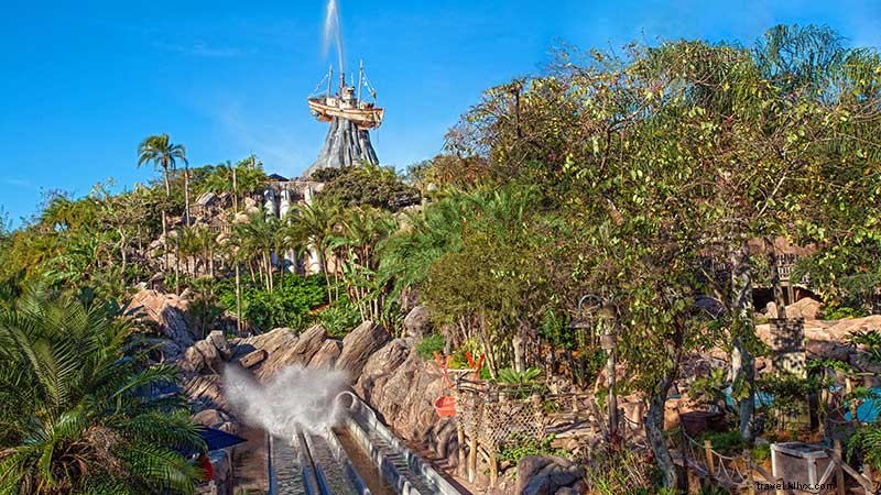 2020 Walt Disney World® Resort Travel Guide: Expert Tips & Insider Insights