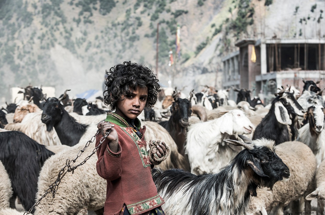 Beyond the Trail: The Human Quest for Untrodden Paths