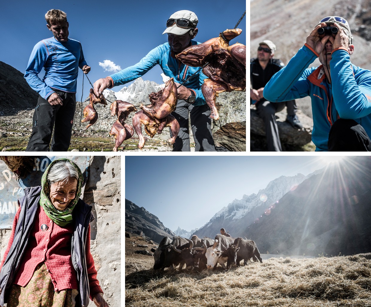 Beyond the Trail: The Human Quest for Untrodden Paths