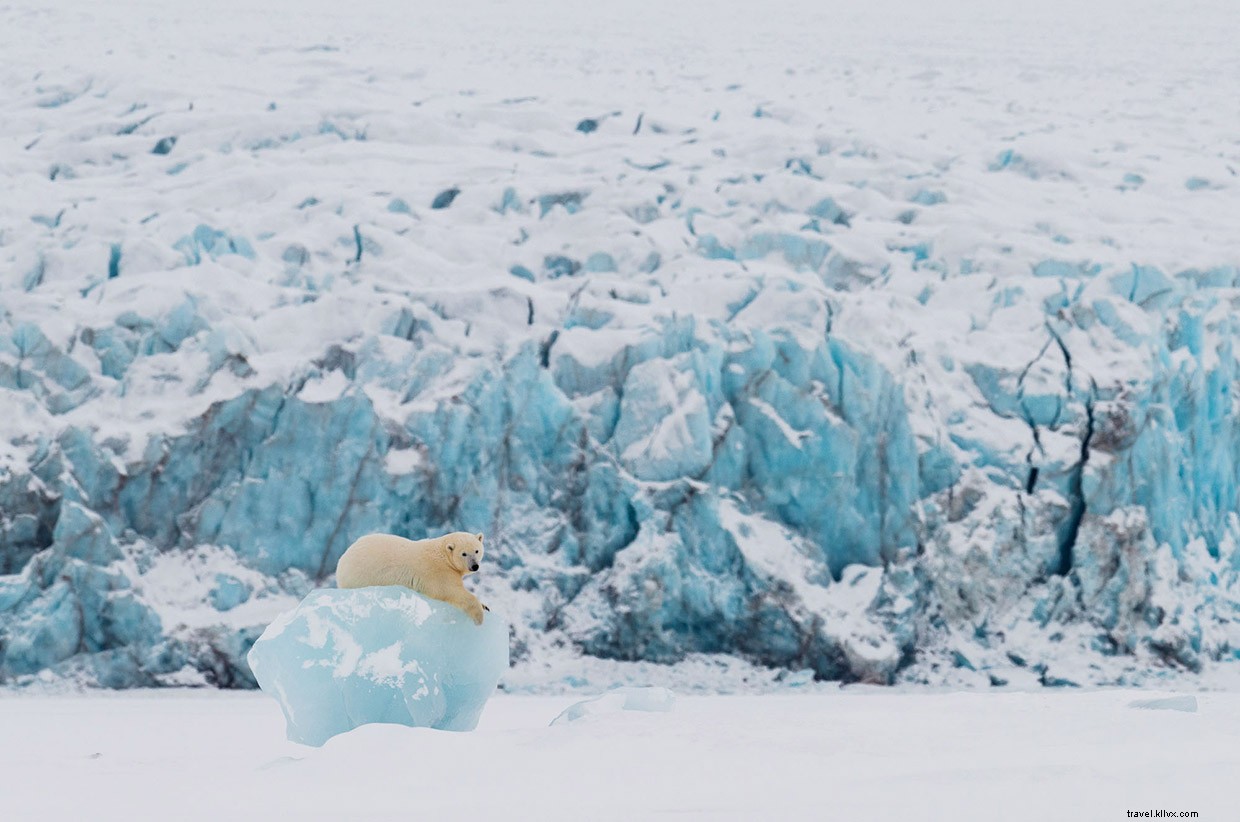 Eclipse: The Art of Capturing Exceptional Photographs