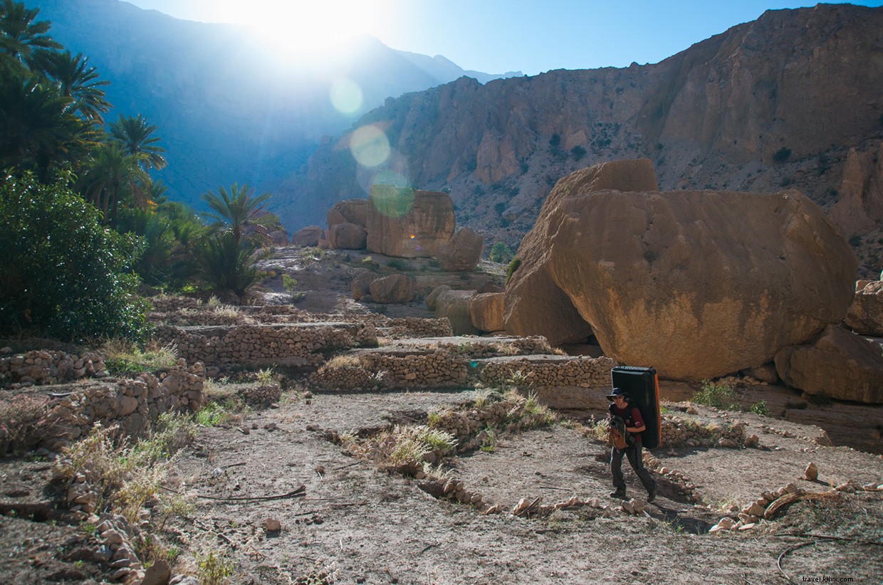 Explore The Valley Of Giants: A Majestic Journey Through Nature s Towering Giants