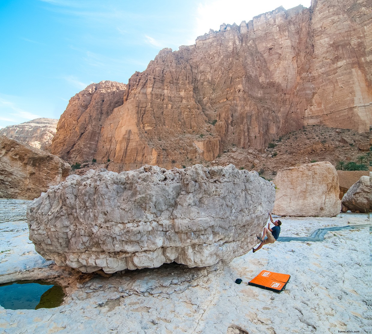 Explore The Valley Of Giants: A Majestic Journey Through Nature s Towering Giants