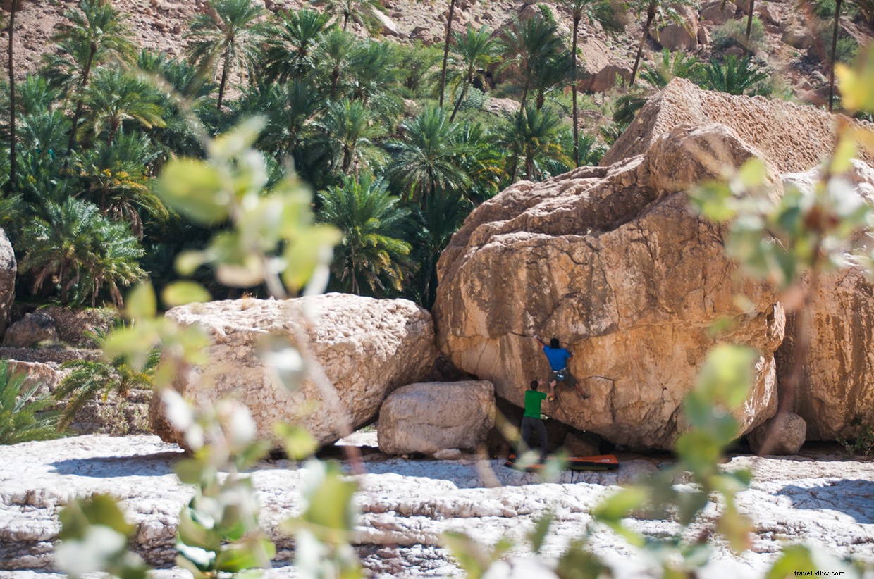 Explore The Valley Of Giants: A Majestic Journey Through Nature s Towering Giants