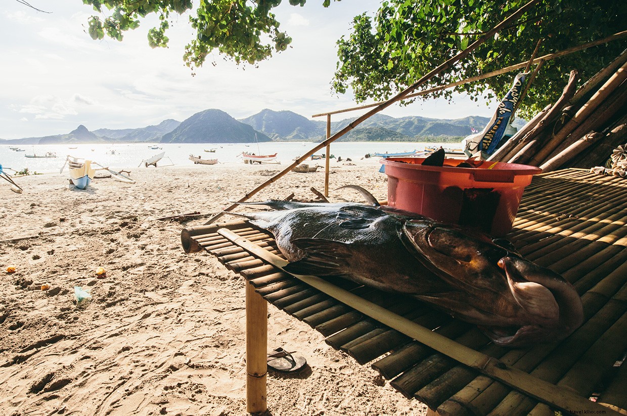 A Day of Fishing and Family Bonding in Indonesia