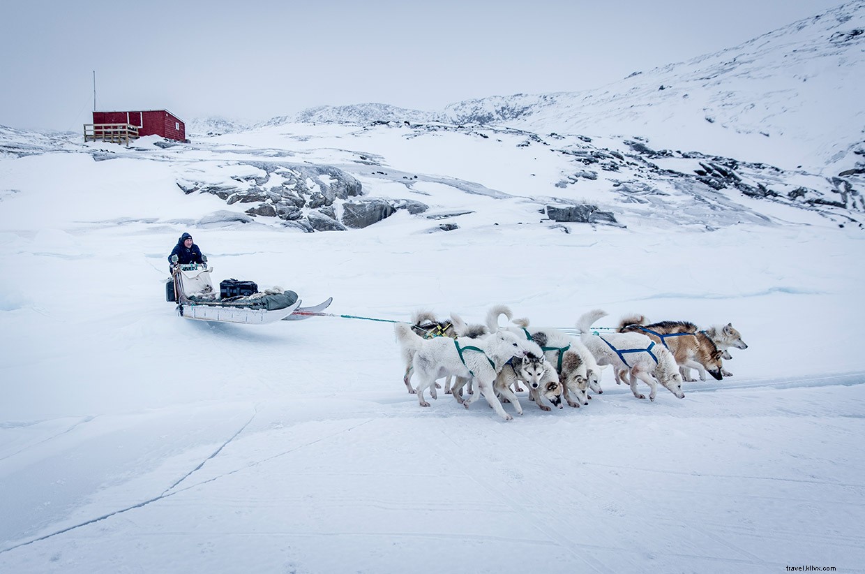 Pushing Through the Snow: Our Dog Sled Journey to Greenland s Crimson Hut