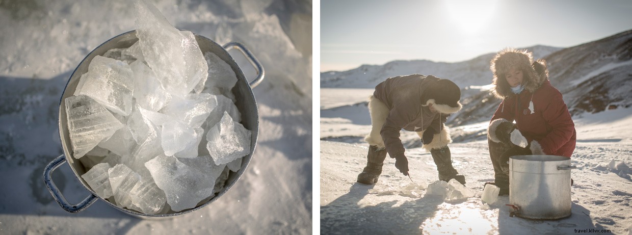 Pushing Through the Snow: Our Dog Sled Journey to Greenland s Crimson Hut