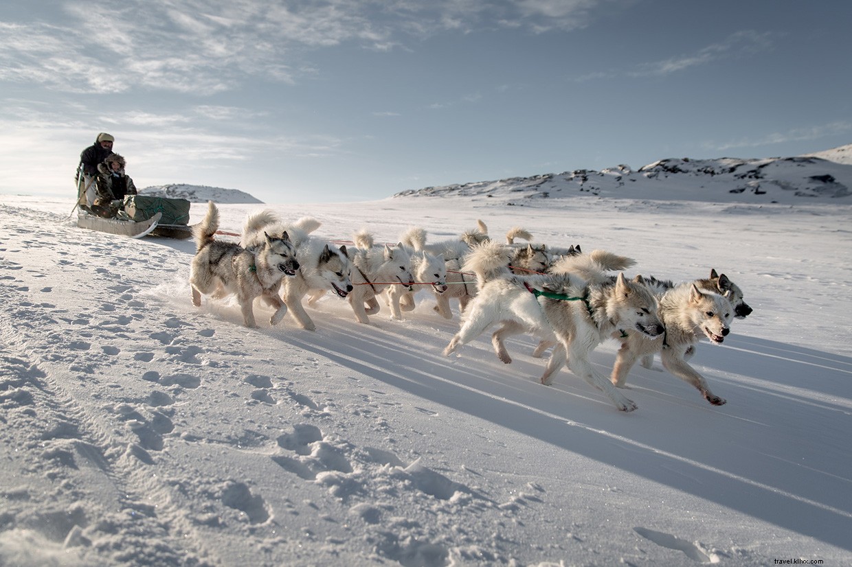 Pushing Through the Snow: Our Dog Sled Journey to Greenland s Crimson Hut