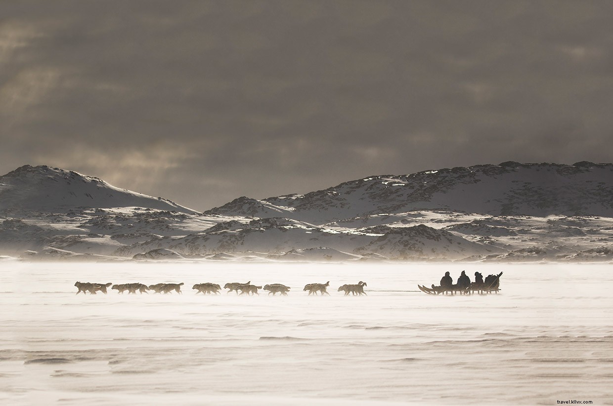 Pushing Through the Snow: Our Dog Sled Journey to Greenland s Crimson Hut