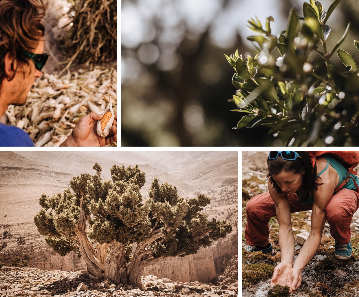 High Atlas Adventures: Rock, Wind, and Resilience