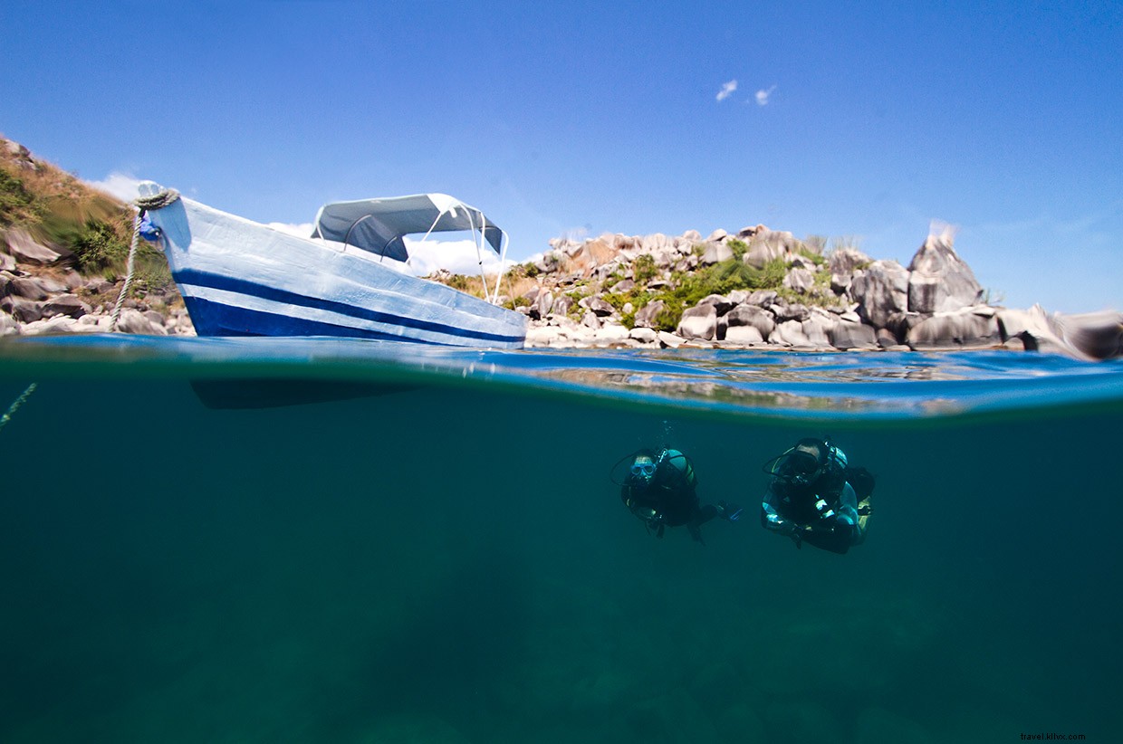 Surviving Mozambique s Perilous Coasts: A Diver s Perspective