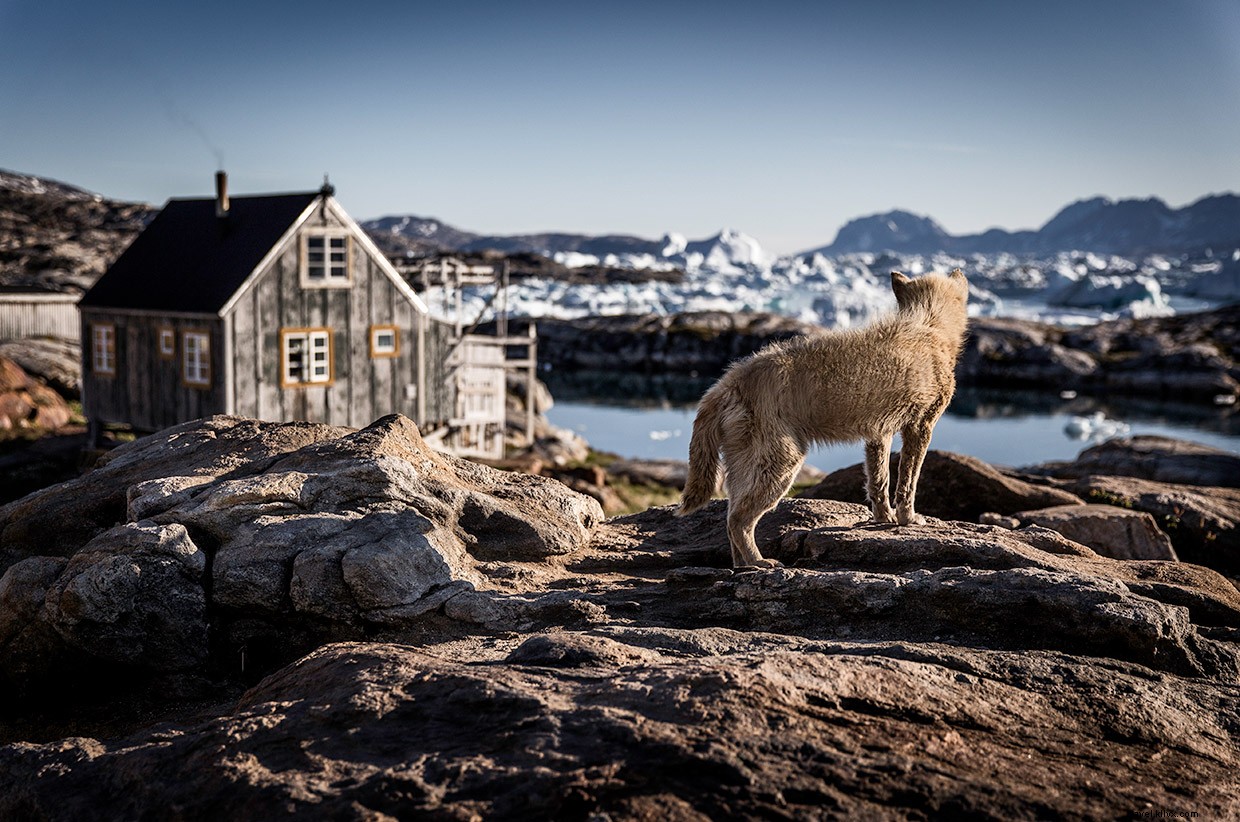 East Greenland: An Immersive Photo Journey