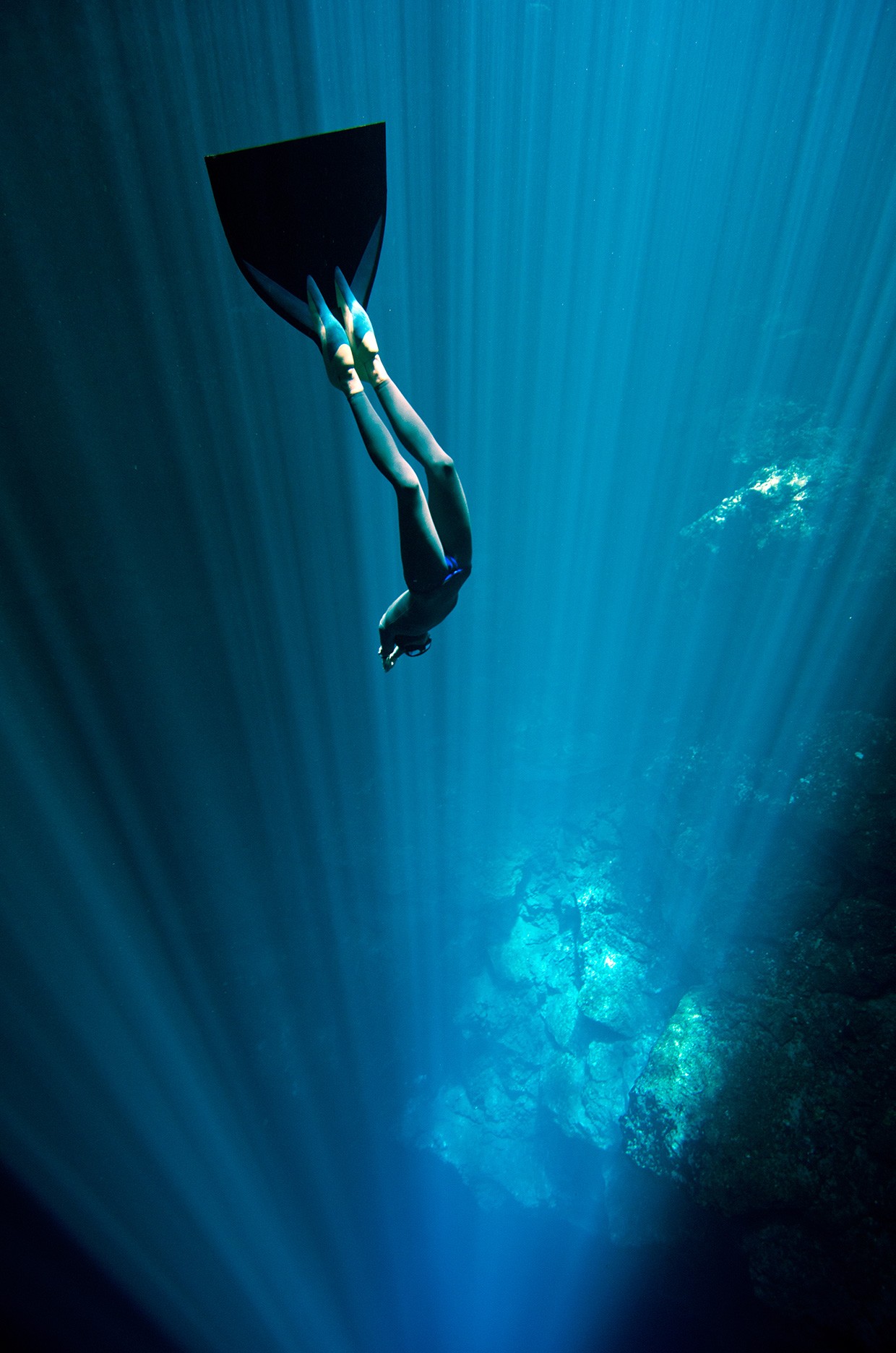 The Freediver s Journey: Exploring Oceans on a Single Breath