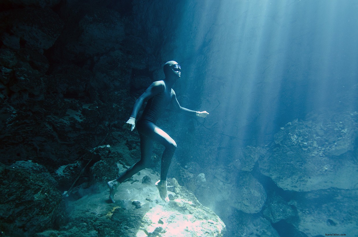 The Freediver s Journey: Exploring Oceans on a Single Breath