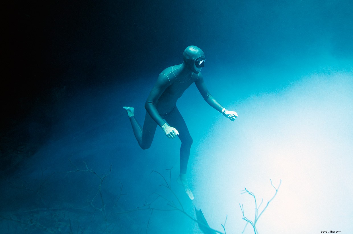 The Freediver s Journey: Exploring Oceans on a Single Breath
