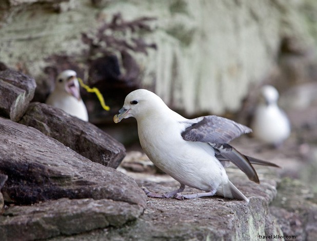 The Long Hope Route: Conquering a 1200‑ft Overhang at St John’s Head