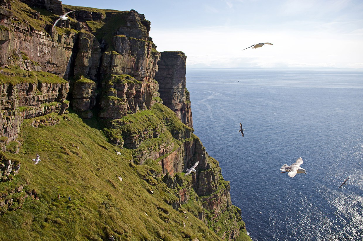 The Long Hope Route: Conquering a 1200‑ft Overhang at St John’s Head