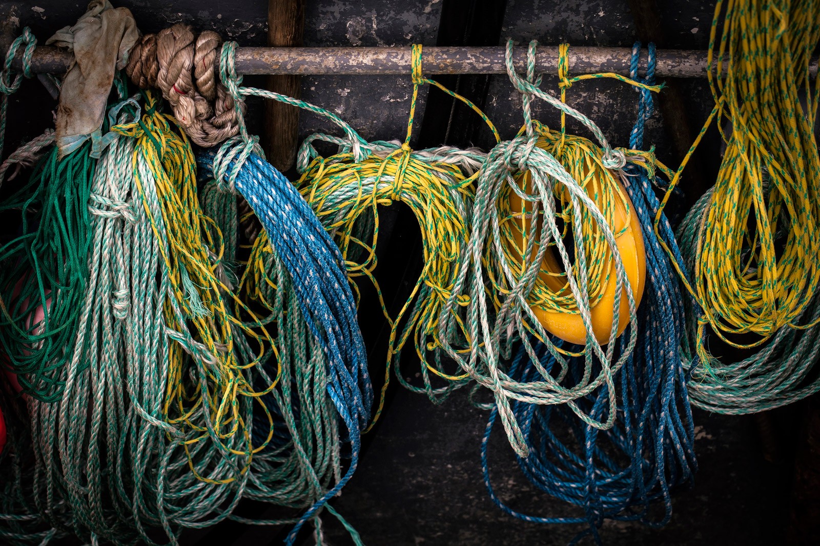 Rugged Reality: Life in Remote Arctic Adventures