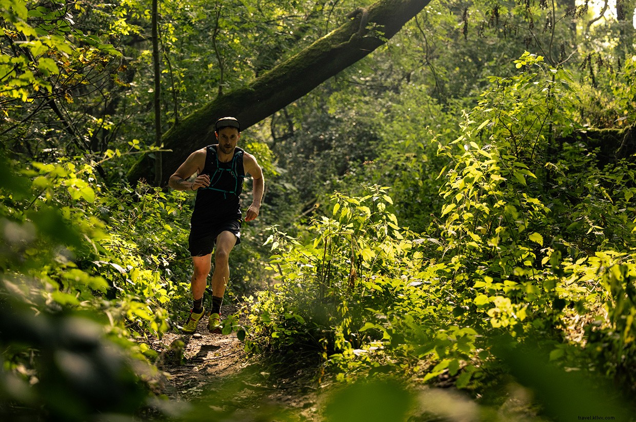 Reconnecting Through Altruism: A Journey in Dawson Wood