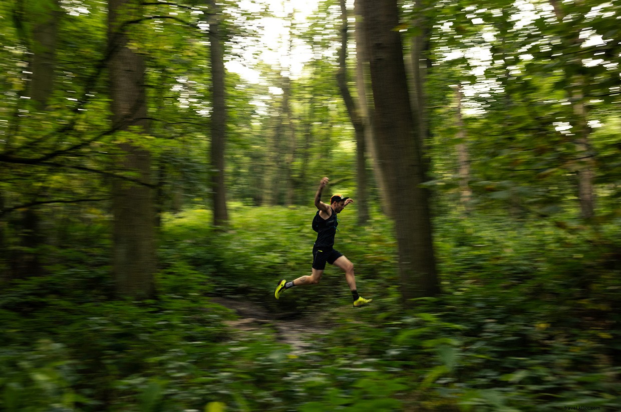 Reconnecting Through Altruism: A Journey in Dawson Wood