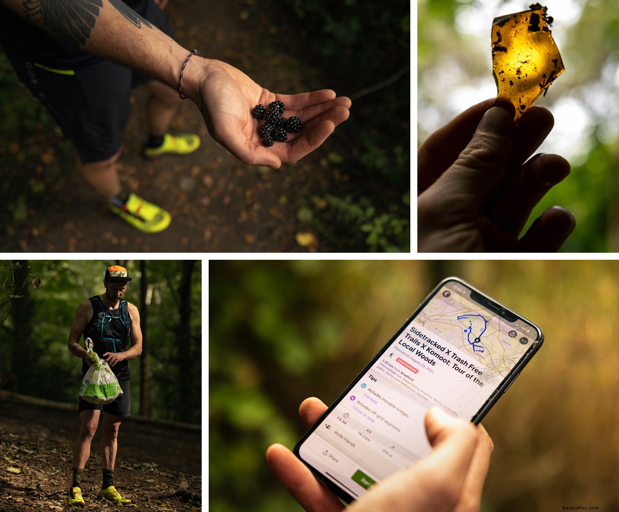 Reconnecting Through Altruism: A Journey in Dawson Wood