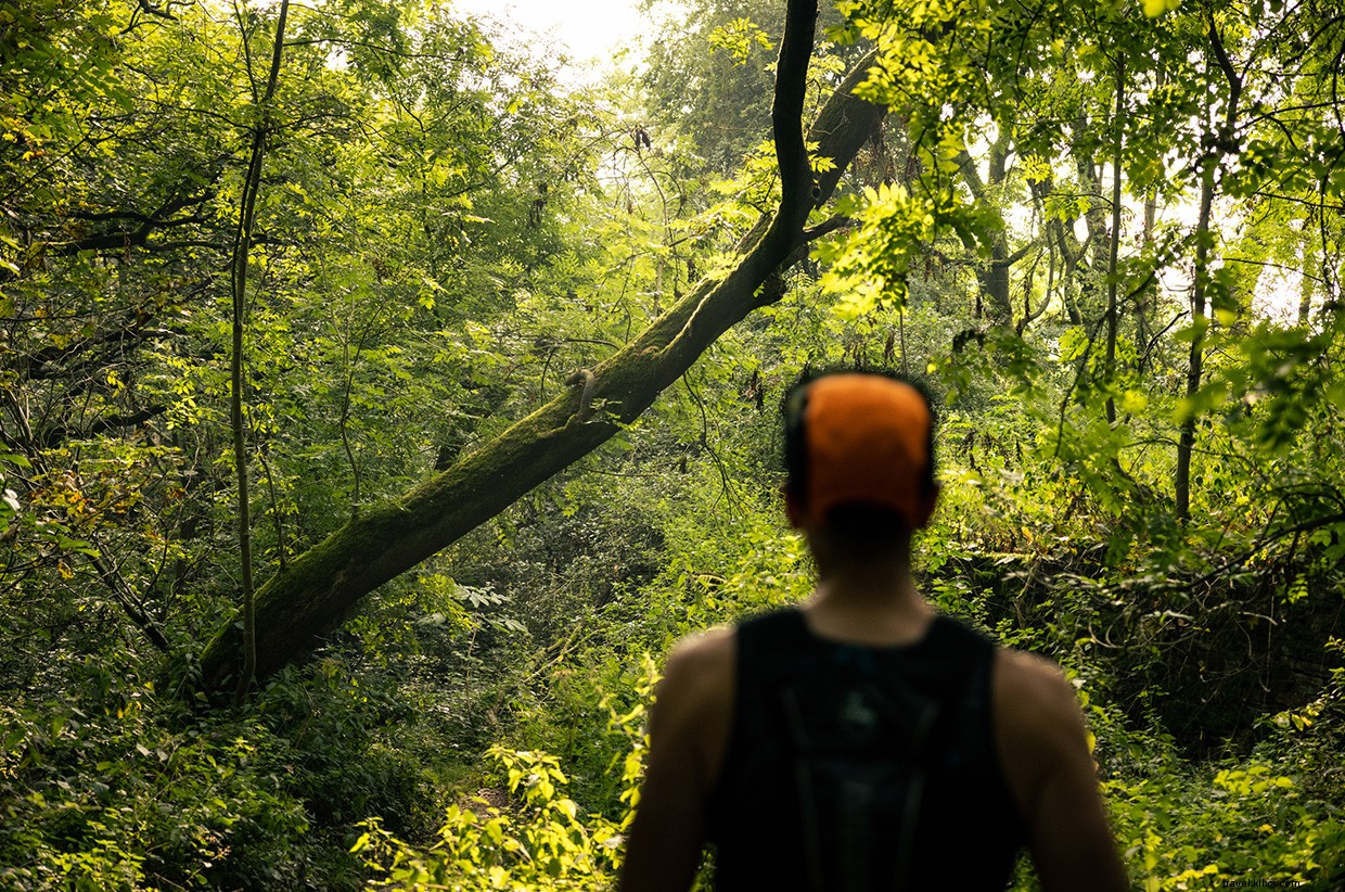 Reconnecting Through Altruism: A Journey in Dawson Wood