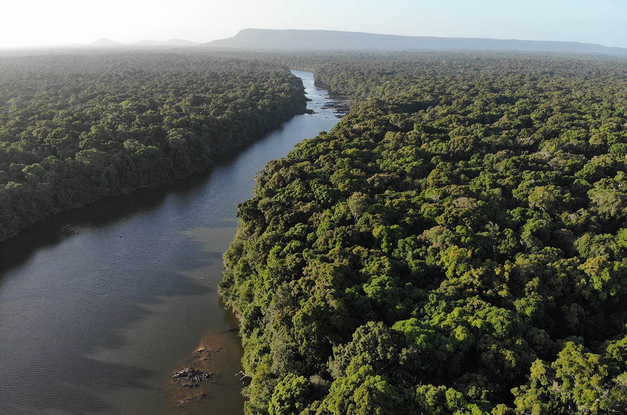 The Intriguing World of Snake Charming: A Jungle Adventure
