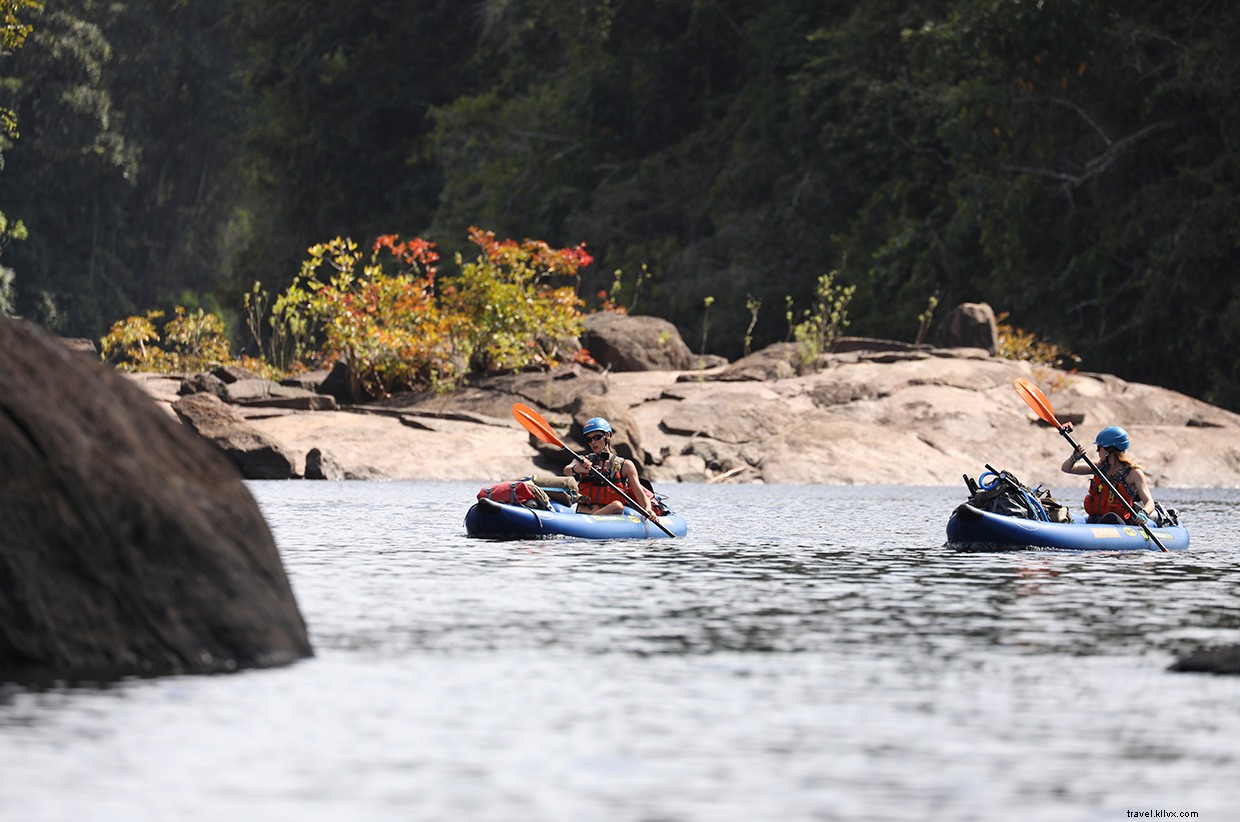 The Intriguing World of Snake Charming: A Jungle Adventure
