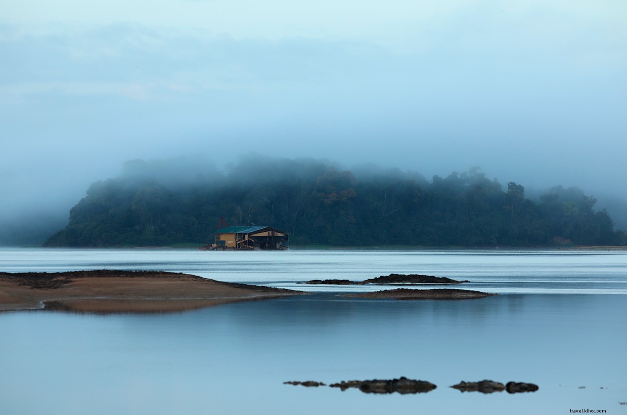 The Intriguing World of Snake Charming: A Jungle Adventure