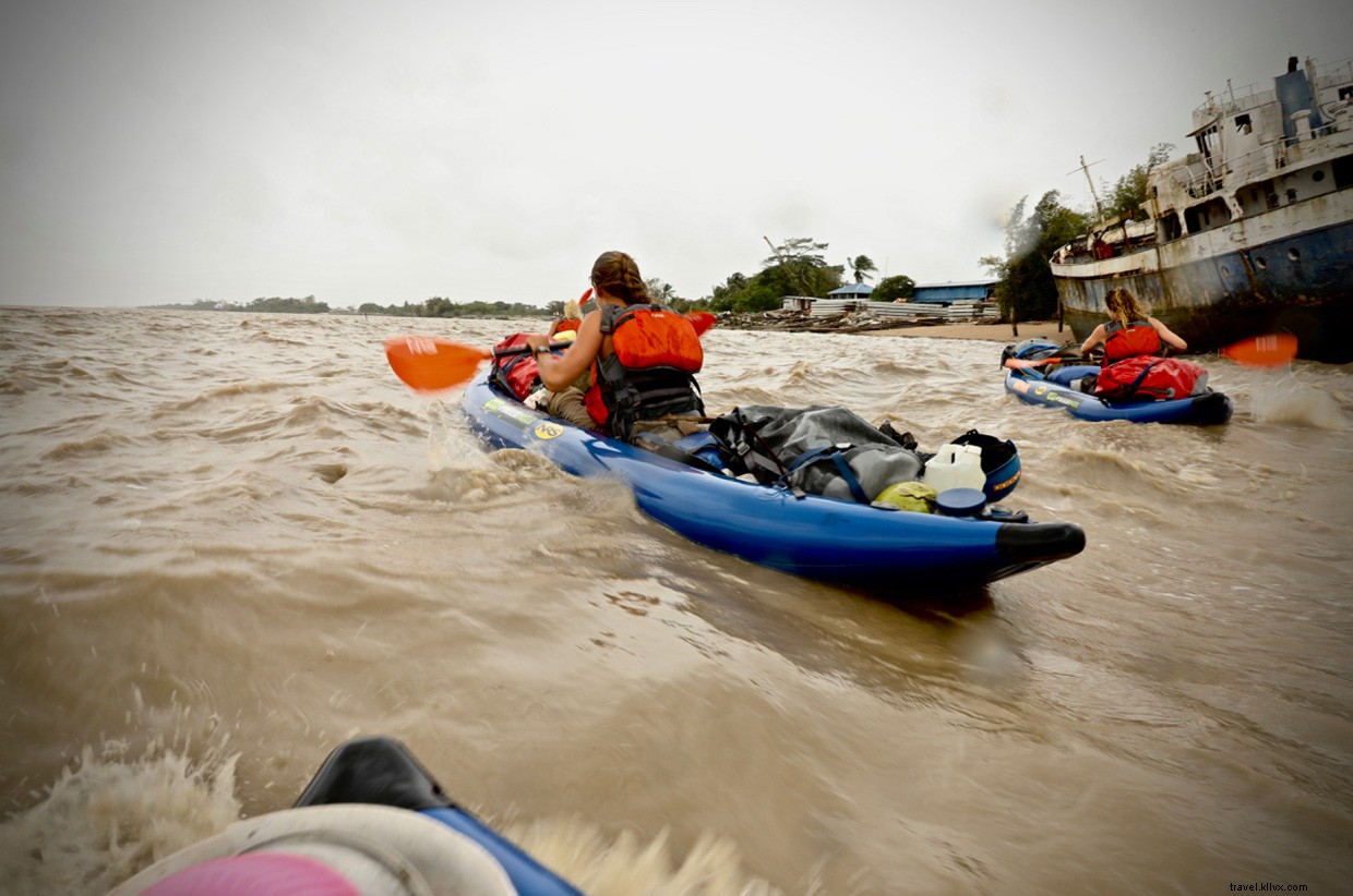 The Intriguing World of Snake Charming: A Jungle Adventure