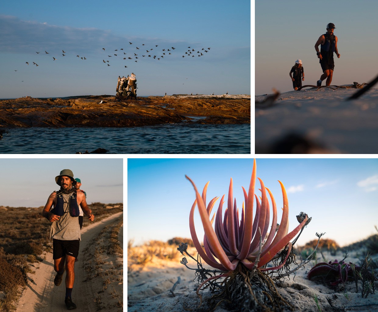 Running West: Exploring South Africa’s West Coast in Search of Love and Adventure
