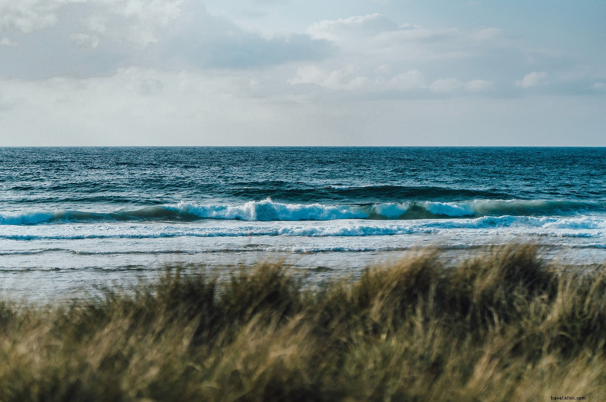 Witnessing Orcas Off the Scottish Coast: A Memorable 24‑Hour Ferry Journey