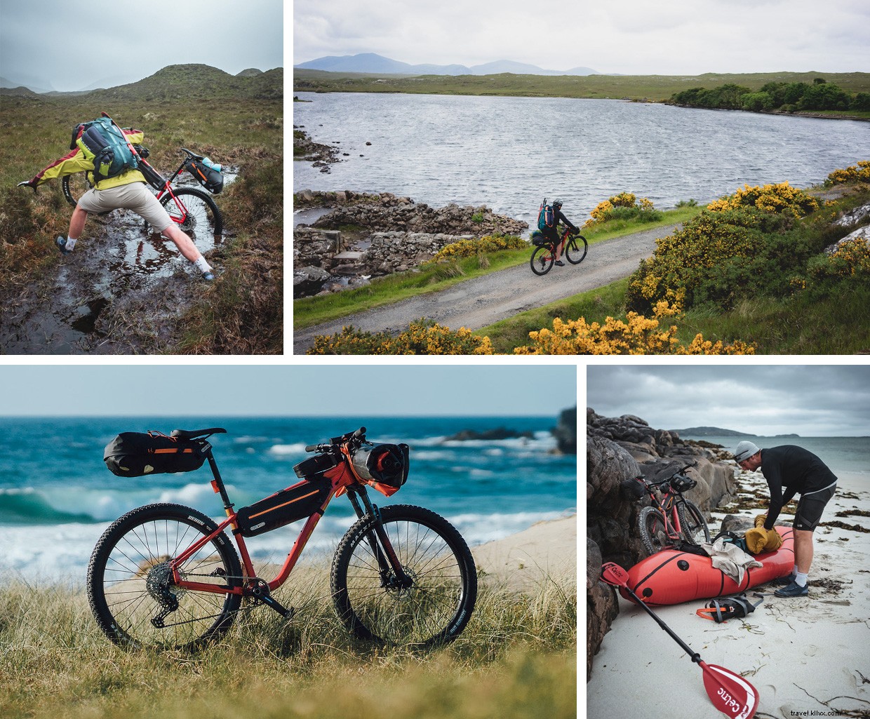 Witnessing Orcas Off the Scottish Coast: A Memorable 24‑Hour Ferry Journey