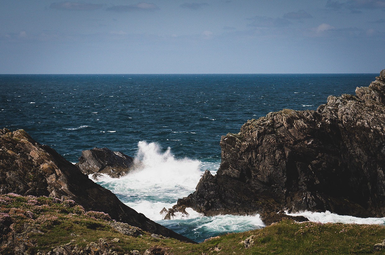 Witnessing Orcas Off the Scottish Coast: A Memorable 24‑Hour Ferry Journey
