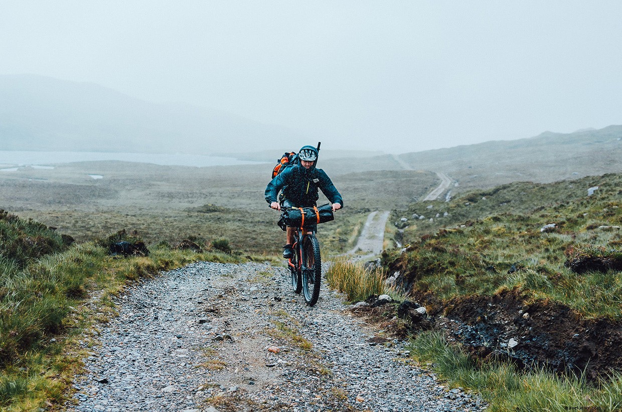 Witnessing Orcas Off the Scottish Coast: A Memorable 24‑Hour Ferry Journey