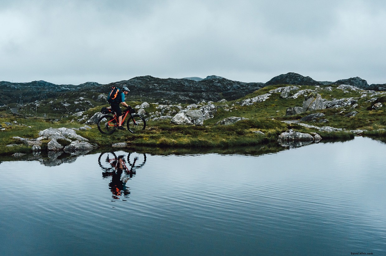 Witnessing Orcas Off the Scottish Coast: A Memorable 24‑Hour Ferry Journey