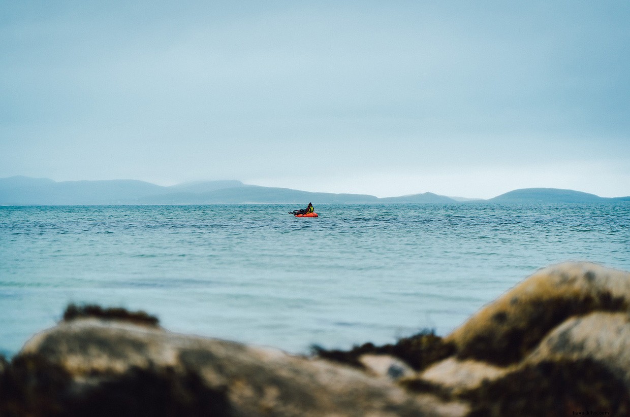 Witnessing Orcas Off the Scottish Coast: A Memorable 24‑Hour Ferry Journey