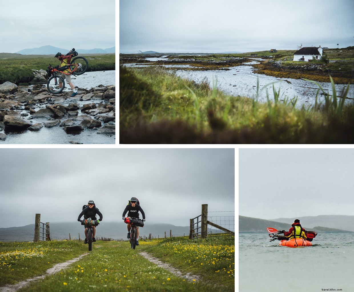 Witnessing Orcas Off the Scottish Coast: A Memorable 24‑Hour Ferry Journey