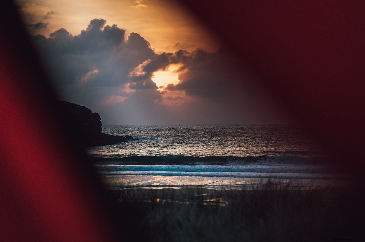 Witnessing Orcas Off the Scottish Coast: A Memorable 24‑Hour Ferry Journey