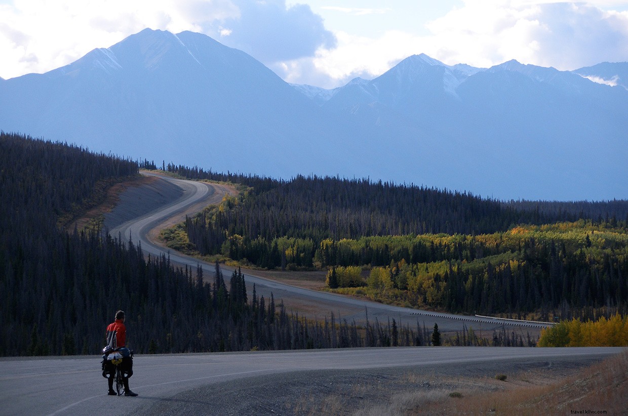 Understanding the Carbon Cycle: Earth s Vital Energy Pathways