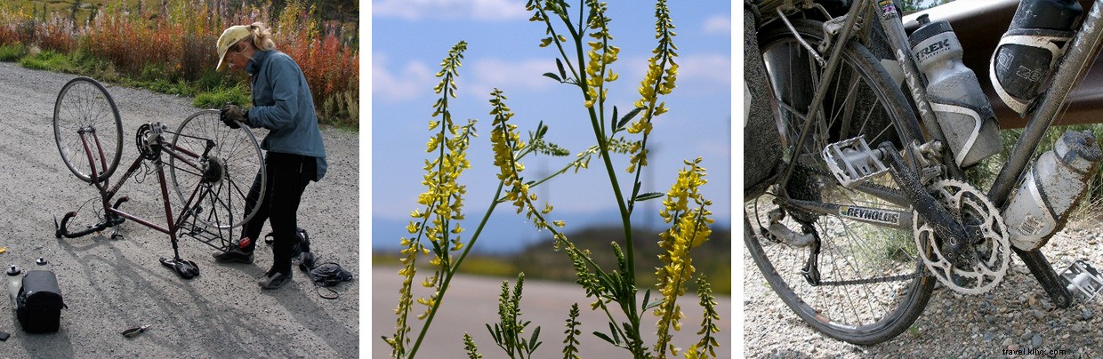 Understanding the Carbon Cycle: Earth s Vital Energy Pathways