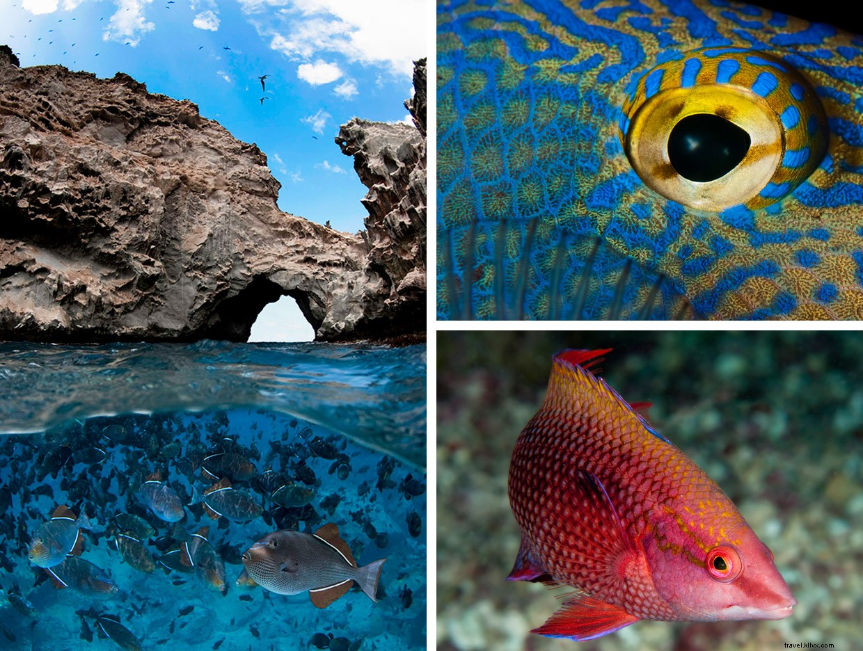 Ascension Island: A Remote Volcanic Outpost in the South Atlantic