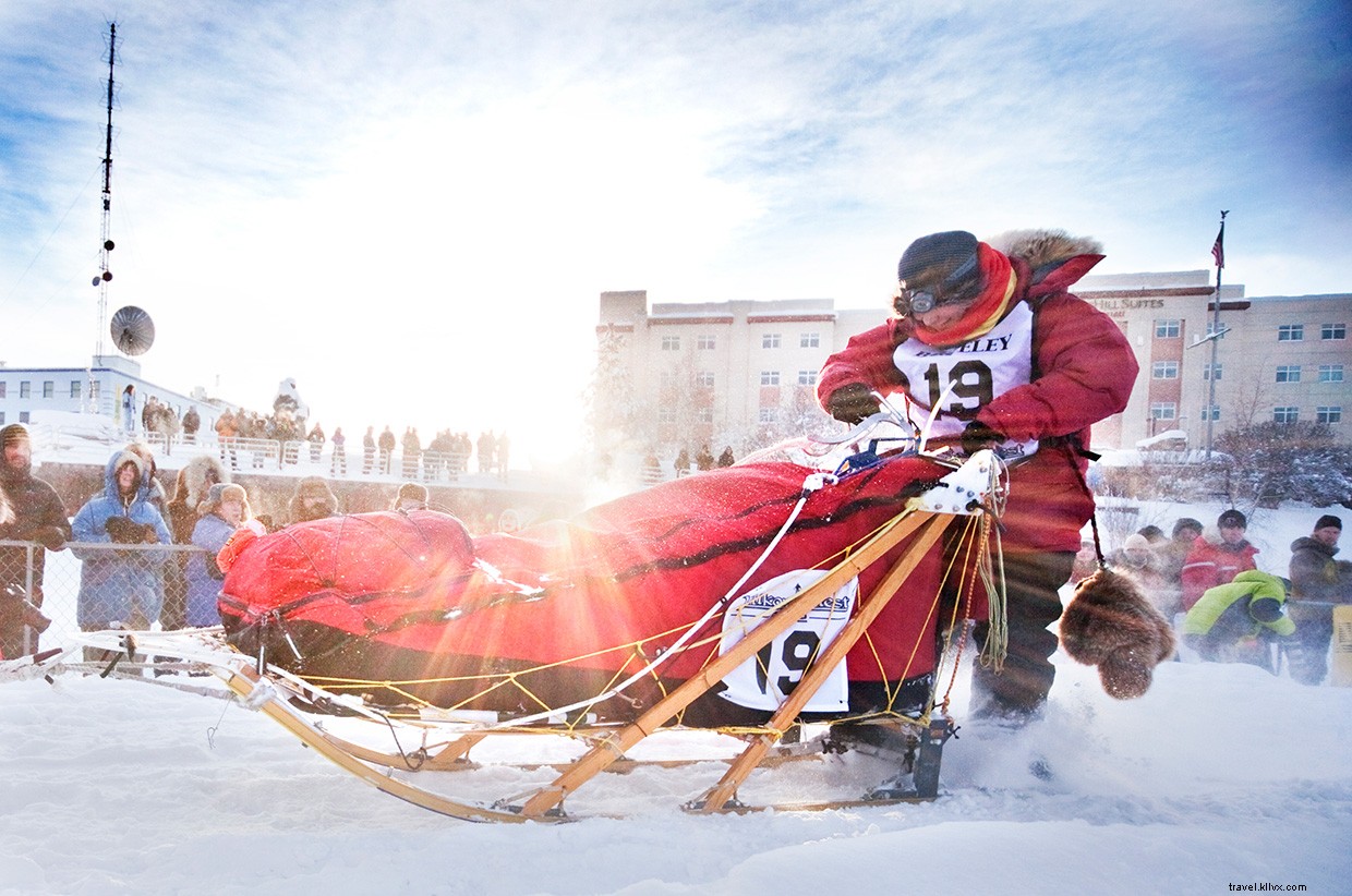 The Yukon Quest: 1,000-Mile Arctic Sled Dog Race