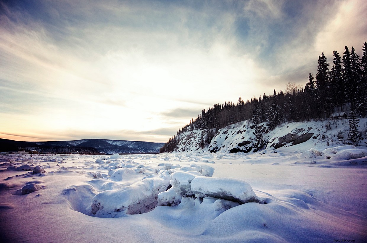The Yukon Quest: 1,000-Mile Arctic Sled Dog Race
