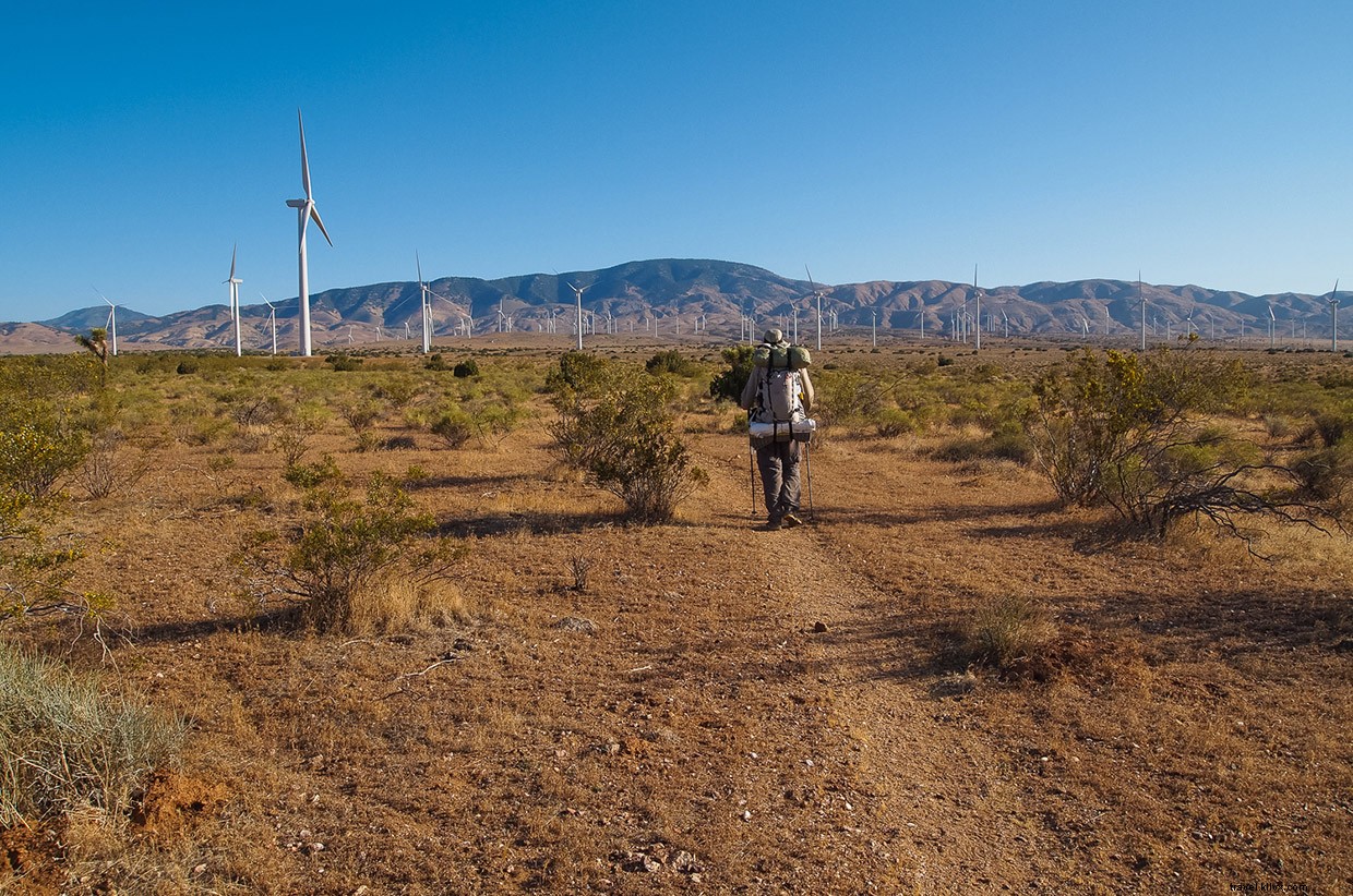 Navigating the Mojave Desert: A Guide to Safe and Rewarding Journeys