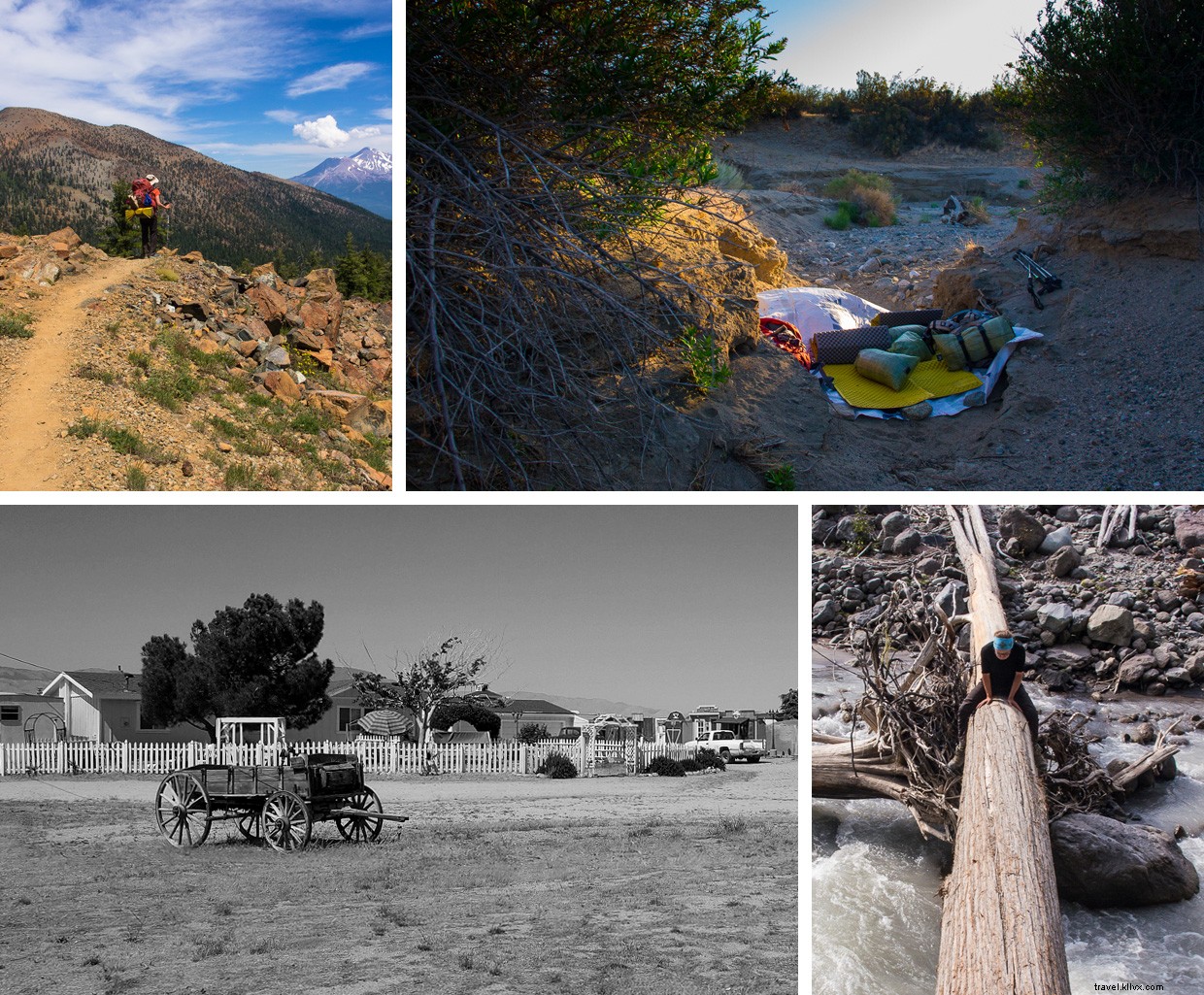 Navigating the Mojave Desert: A Guide to Safe and Rewarding Journeys