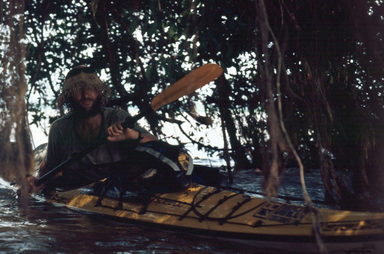 2005 Cape York Crocodile Attack: Kayaking Nightmare