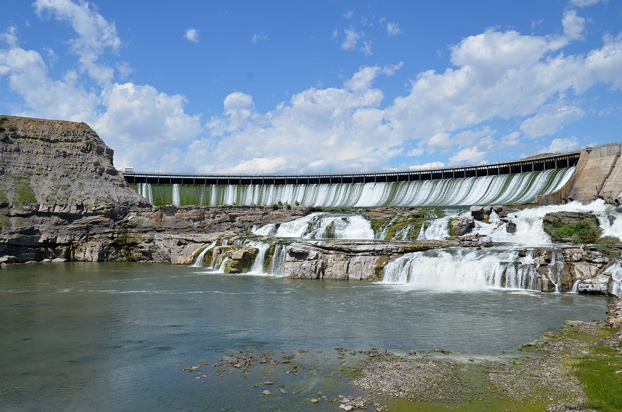 From Source to Sea: A Journey Back Home