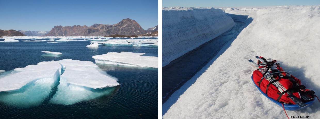 Mastering Life’s Choices: A Journey Through Decision-Making