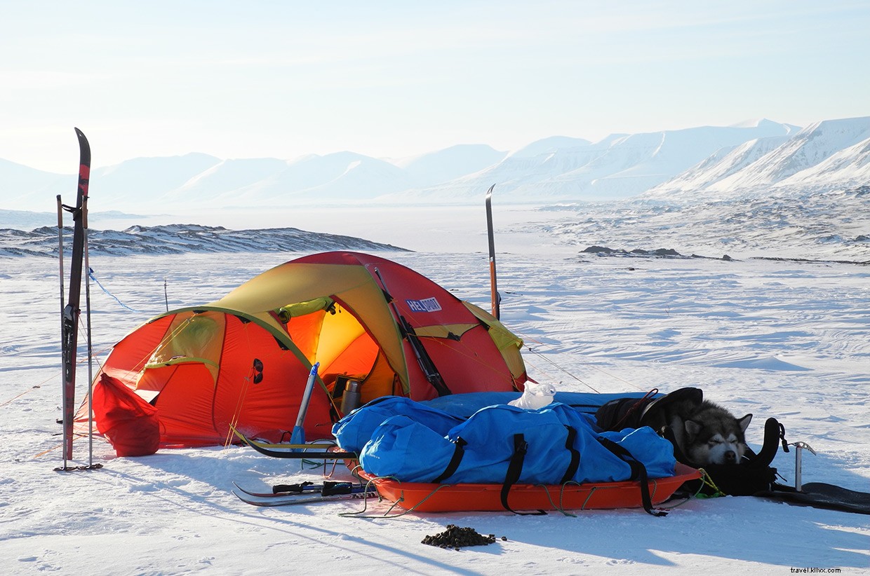 Journey to Svalbard’s Southern Wilderness: Endurance, Glaciers, and Polar Bears