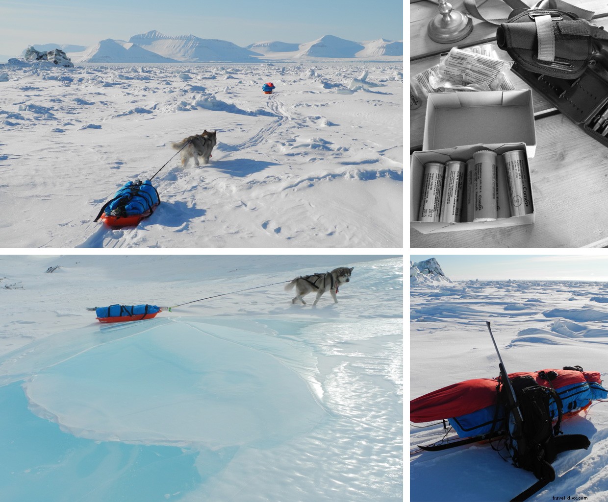 Journey to Svalbard’s Southern Wilderness: Endurance, Glaciers, and Polar Bears
